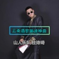 柱诗琦 - 云南酒歌蹦迪神曲