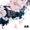 沈若 - 终是