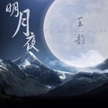 王韵 - 忘不了的人