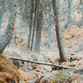 Relaxing Nature Music、Música de la Naturaleza、Preschool Kids - You Are OK