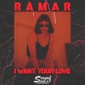 I Want Your Love