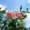 王忻宇 - 无赖