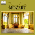 Wolfgang Amadeus Mozart、Tamás Vásáry、Philharmonia Orchestra - I. Allegro