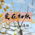 潇游 - 爱在初秋