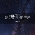 张真贺 - 是想你的声音