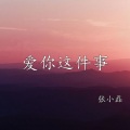张小磊 - 爱你这件事