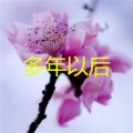 朱子铭 - 多年以后