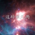 张小磊 - 这碎银几两