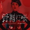 爱戴 - 野猫KT喂