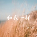 张小磊 - 和我一样