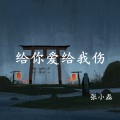 张小磊 - 给你爱给我伤
