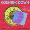 Counting Down (Smallpools Remix|Explicit)