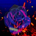 Cadence、lzzy - End