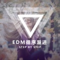 Z.G.Z小顾 - EDM循序渐进