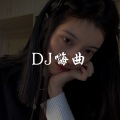 DJ嗨曲