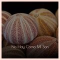 L'orquesta Sensacion - No Hay Como Mi Son