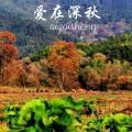 风琉璃、凤鸣喧、虞姬 - 我沉迷于秋日