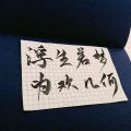 盐酸 - 撒野 (原唱:欸-61)
