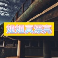 南妹 - 花落