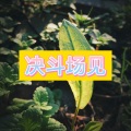 决斗场见