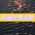 南妹 - 平行恋人