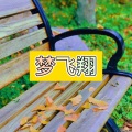 天兰 - 百变酒精