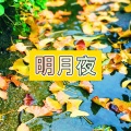 隔离 (霹雳版)