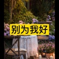 大乔 - 谁不是