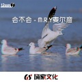 M.R.Y麦尔彦 - 会不会 (DJ版)
