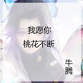 Nt牛腾 - 我愿你桃花不断