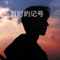 暂时的记号
