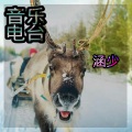 涵少 - 一首情歌送给你