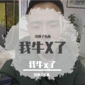 铁狮子乐队、川子 - 我牛X了