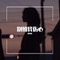 顾绍灿 - 别怕我伤心