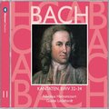 concentus musicus wien、Nikolaus Harnoncourt、siegmund nimsgern - Cantata No.34 O ewiges Feuer, o Ursprung der Liebe BWV34:IV Recitative - 