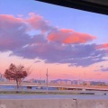 暮归、屿崽 - 未来式情歌