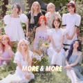 白菜菜QAQ - MORE & MORE