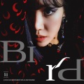金南珠 - Bird (Inst.)