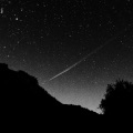 Little Things、派大星 - 星子