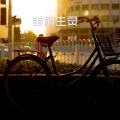 美丽生灵