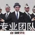 DJ  Tshirt - 专业团队 (DJ皇帝Remix)