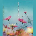 谢雷 - 多少柔情多少泪