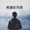 书辰、虞姬 - 不装饰你的梦 (DJ劲爆版)