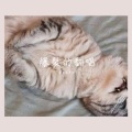 爆裂菊是也 - 崩坏世界的歌姬 口哨版本