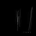 tane - Sphinx