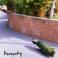 Honeywhip - Feels Good to Laugh