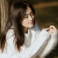 一只呆橘 - 花海