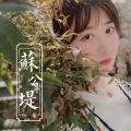 杨一歌 - 年轮说