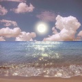 宸菲 - Sunny Rain