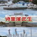 陪你去流浪 (傻傻版)